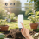 Tuya Zigbee Soil Tester Sensor Moisture Temperature Meter 6