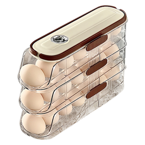 egg storage box
egg refrigerator