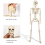 Life Size Poseable Skeleton Halloween Decoration Full Human Body 9