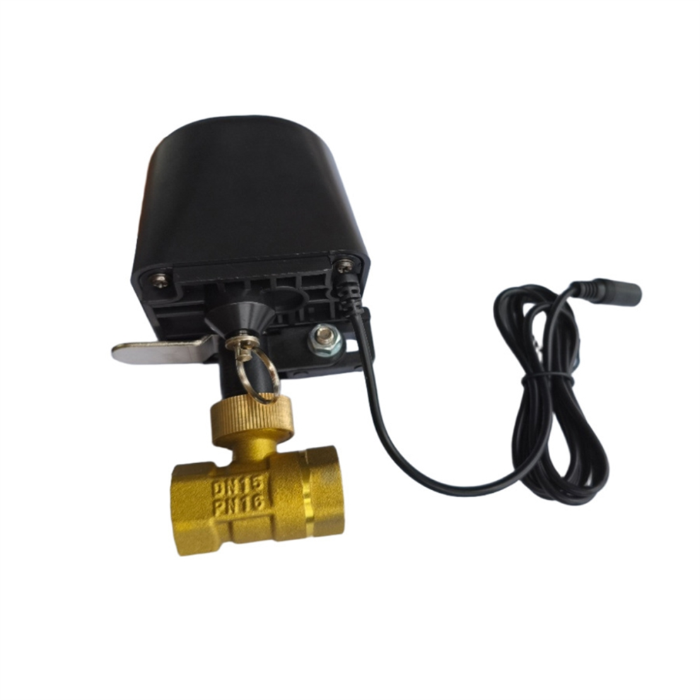 Photos - Other Electrical Equipment Jojomino Tuya Smart 3.0 WiFi Gases Water Vavle Stop Check Valve 