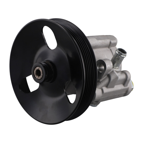 Power Steering Pump 92116788 for VT VX VU