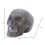 Skull Statue
Decorative Ornaments 7