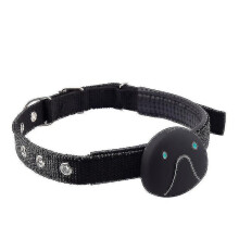 Smart Gps Cat Dog Collar Gps Tracker(black)