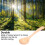 5Pcs Soup Spoon Long Handle Household Wooden 15