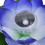 Waterproof Solar Lotus Light with Color Gradient, 28x8cm, 30lm 12