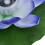 Waterproof Solar Lotus Light with Color Gradient, 28x8cm, 30lm 9