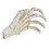 Halloween Skeleton Hands High Hardness Corrosion 8