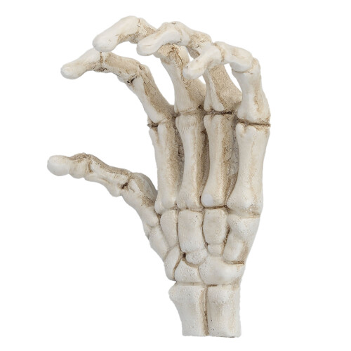 Halloween Skeleton Hands High Hardness Corrosion 2