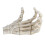 Halloween Skeleton Hands High Hardness Corrosion 4