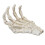 Halloween Skeleton Hands High Hardness Corrosion 6
