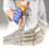 Halloween Skeleton Hands High Hardness Corrosion 12