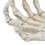 Halloween Skeleton Hands High Hardness Corrosion 15