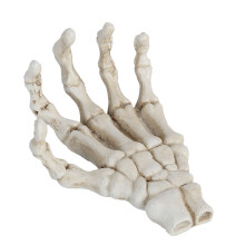 Halloween Skeleton Hands High Hardness Corrosion