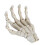Halloween Skeleton Hands High Hardness Corrosion 1