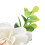 2Pcs Hemp Rope Napkin Buckle Simulation Flower 15
