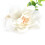 2Pcs Hemp Rope Napkin Buckle Simulation Flower 13