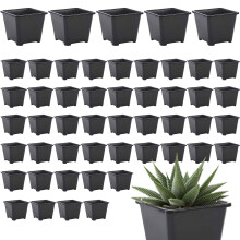 Seed Starter Pots with Drainage Holes | 10 Square Hard Plastic Seedling Containers for Succulents and Seedlings