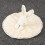 Velvet Rabbit Placating Blankie Soft Baby 5