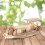 Wooden Ship Assembly Model DIY Kits Sailing Boat 2
