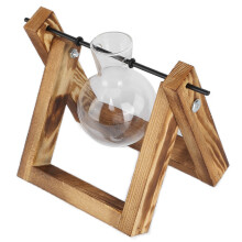 Pflanzen-Terrarium mit Holzständer, Glassvase, Tischglas-Pflanzgefäß, für Heim- und Bürodeko (Holzrahmen, 1 Flasche)