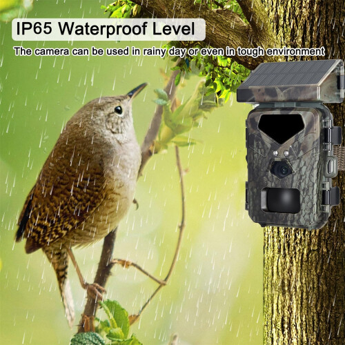 Solar Wildlife Camera with Motion Sensor, Night Vision, IP65 Waterproof, 65 ft Range, 0.2s Trigger Time, Time Lapse Recording 1