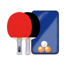 Premium Table Tennis Bat Set with 2 Bats, 3 Balls, and Carry Bag for Beginners and Family Play, Durable and Lightweight Design