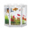 Mini aquarium hexagonal 12x10,5x11 cm transparent 13