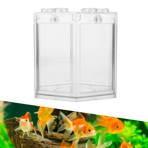 Mini aquarium hexagonal 12x10,5x11 cm transparent 2