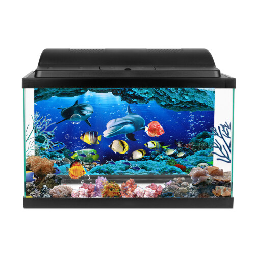 Background Poster Decorative Sea World Paintings 2