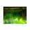 Water Grass Style Aquarium Fish Tank Background 9