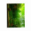 Water Grass Style Aquarium Fish Tank Background 15