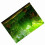 Water Grass Style Aquarium Fish Tank Background 10