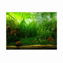 Water Grass Style Aquarium Fish Tank Background
