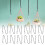 12pcs Plant Hanging Chains with Dual Hooks 10