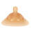 Silicone Nipple Shield Protector Soft Nursing 8
