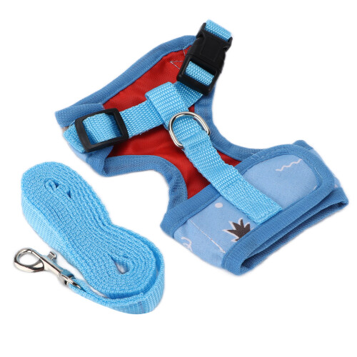 Laisse d'entraînement pour poulet avec corde de traction et sangle bleue réglable 2