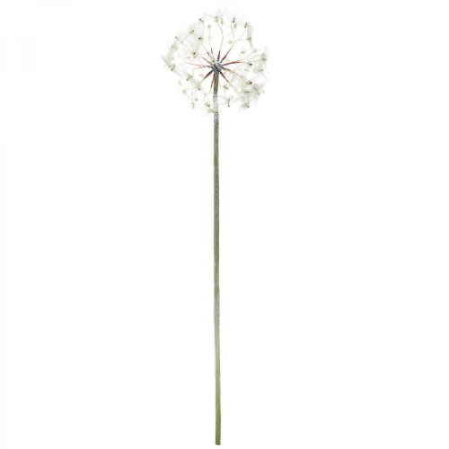 Artificial Dandelion Simulation White Plastic Iron Wire Fake Flowers 2