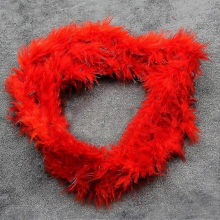 2m Red Feather Boa Strip Fluffy Craft Costume Hen Night Dressup Wedding Fancy Party