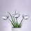 Automatic Watering Device Bird Shape for Indoor Plants - Self-Watering Spikes Dripper 1pcs, Efficient Plant Care Solution 5