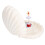 Shell Shape Ballet Girl Music Box with Mirror 6