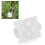 10PCS Plant Root Growing Box Sturdy Structure 12