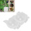 10PCS Plant Root Growing Box Sturdy Structure 11