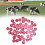 50 pezzi etichette numerate da 1 a 50, rosse, per apicoltura, 3,6 cm 14