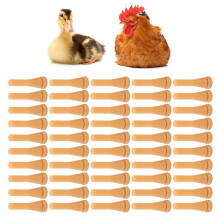 50-Piece Rubber Poultry Plucking Fingers for Efficient Feather Removal