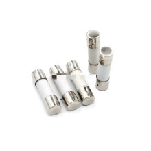 Fuse 10PCS Slow Blow Ceramic Fuse 5A 250V 5x20mm T5A/250V Non-Pin Design for Electrical Applications
