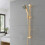 EcoSpa Gold Shower Kit, 6 Mode Handset, Riser Rail, Hose & Soap Dish 1