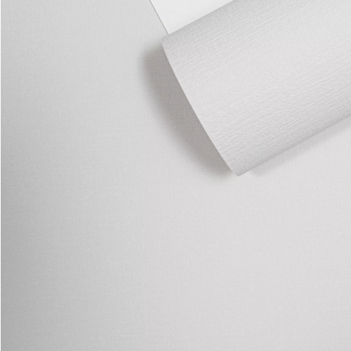 Grandeco Grandeco's Plain Pale Grey Textured Wallpaper