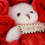 Artificial Rose Flower with Bears Gift Box Soap 11