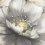 Muriva Charcoal Gold Floral Wallpaper 3D Effect Metallic Shimmer Feature Wall 4
