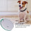 Pet & Item Finder: WiFi Bluetooth Tracker with One-Click Search 10